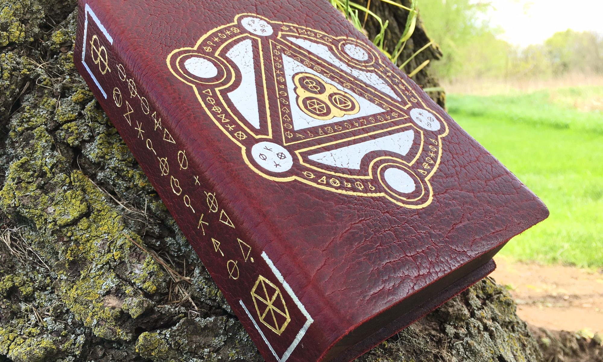 Customizing your Spellbook (CR 6) Elderwood Academy