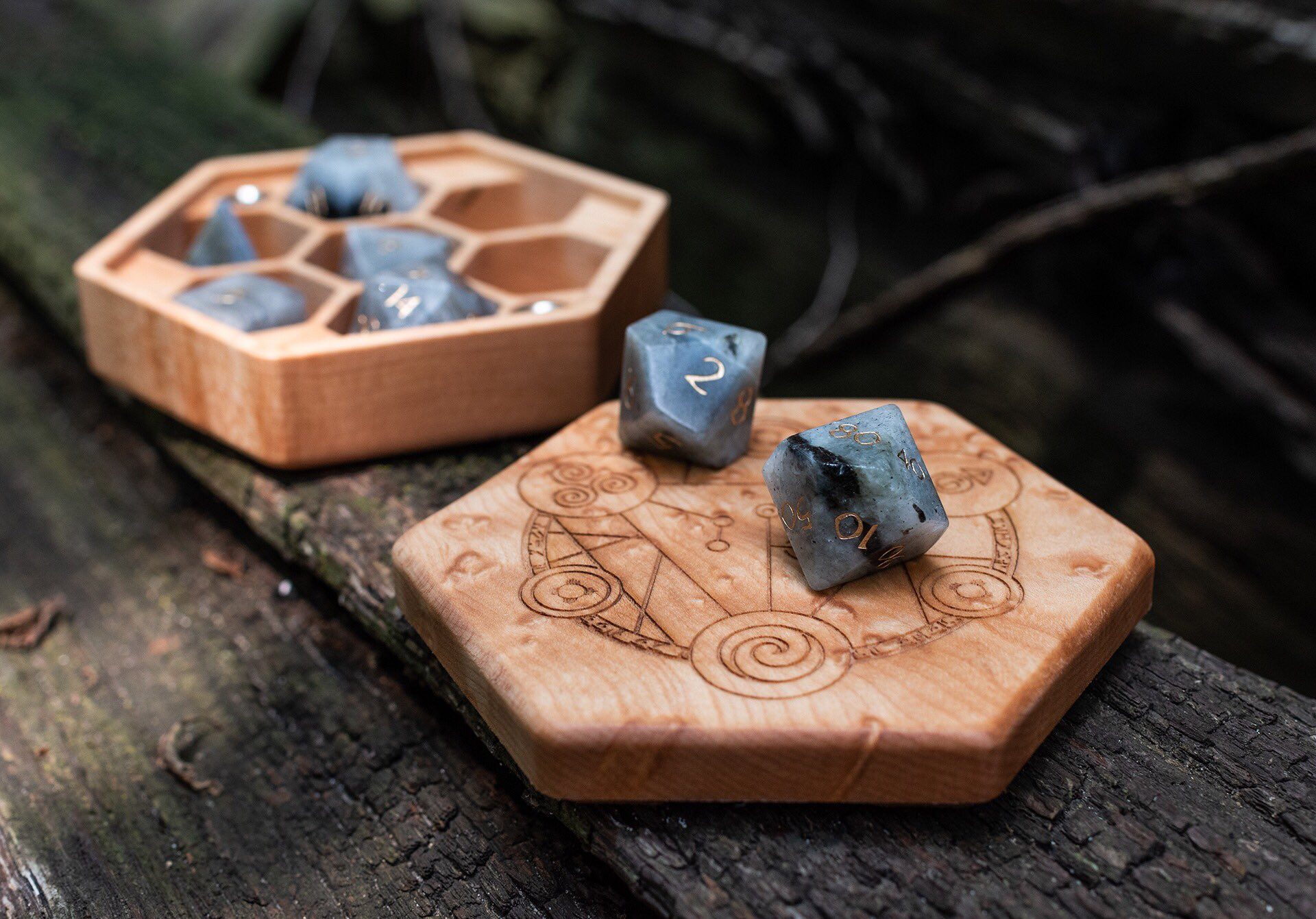 Dice Loot Box Random Game Dice Case Elderwood Academy