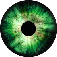 Round-green Eyes