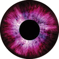 Round-purple Eyes