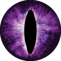 Slit-purple Eyes
